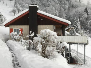 Cozy House above Lake Lucerne in car-free Vitznau Mittlerschwanden at Mount Rigi railway